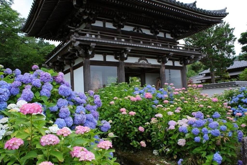 Sanzen Ya Kyoto さんぜんやきょうと- Cozy Art Space For Lover Of Travel - Esterno foto